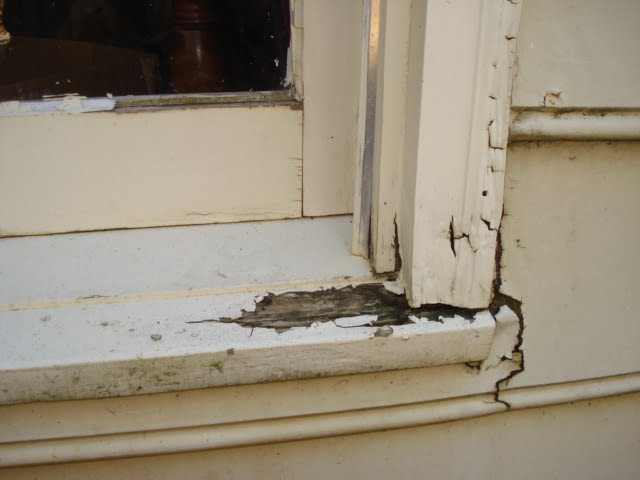 houtrot reparatie Monnickendam